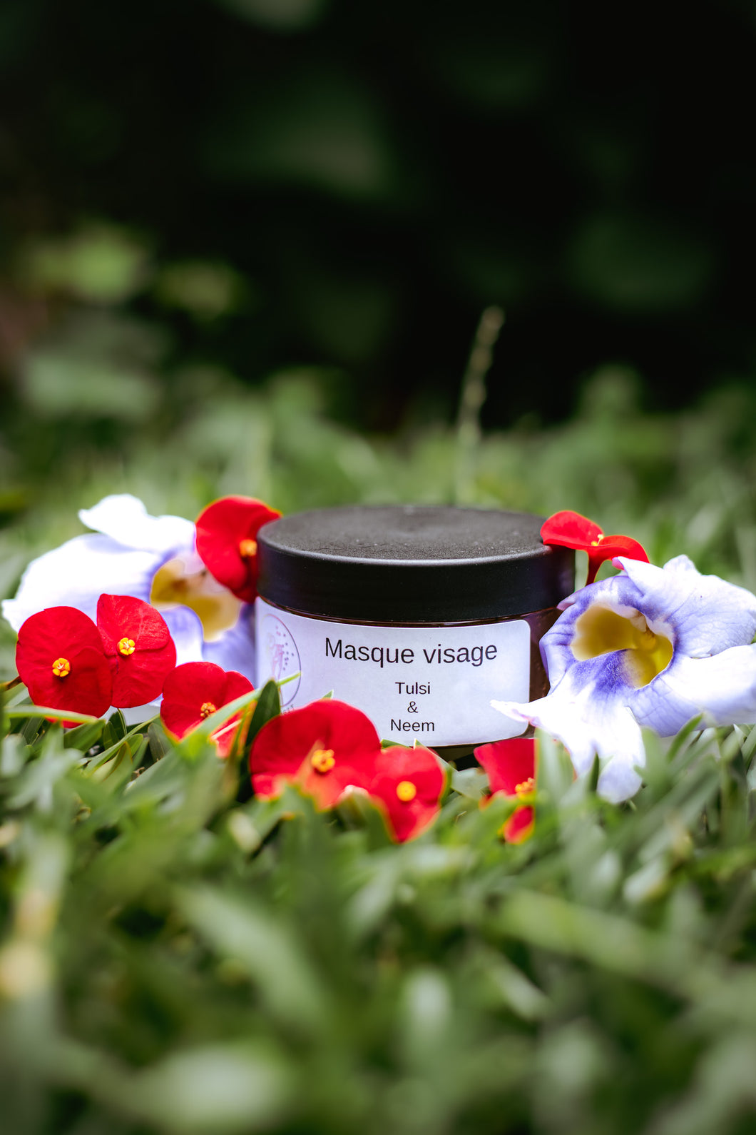 Masque Visage