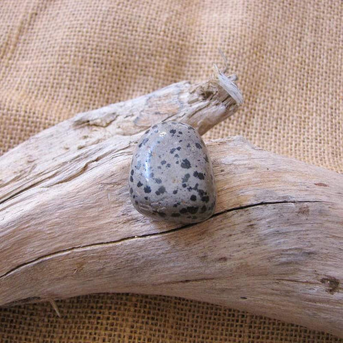 Pendentif Jaspe Dalmatien Pierre percée