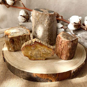 Bois Fossile Divers 