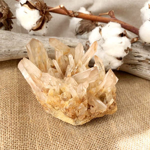 Druze de Cristal de Roche Divers