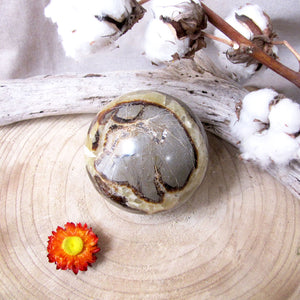 Sphère Septaria